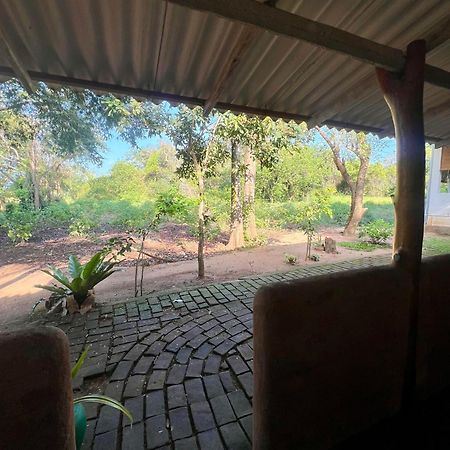 Tembo Cottage Wilpattu Bagian luar foto