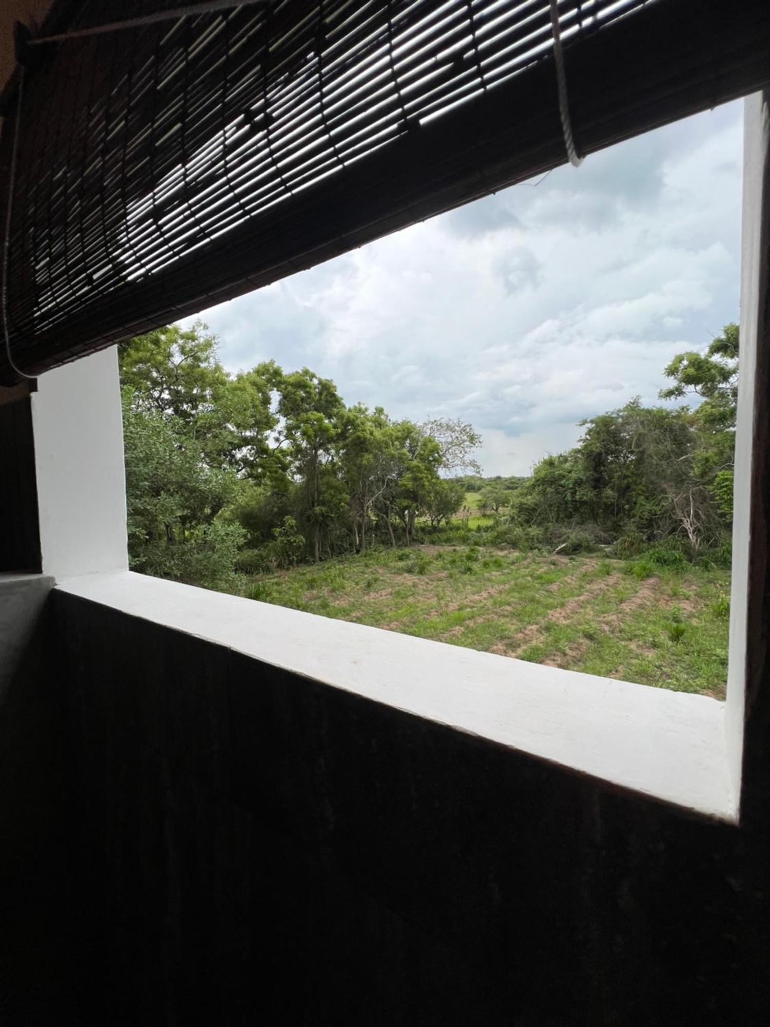 Tembo Cottage Wilpattu Bagian luar foto